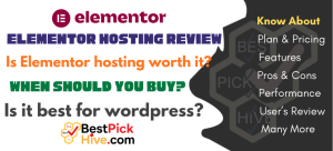 Elementor Hosting Review